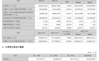 一天净赚1.38亿元！宁德时代2024全年净利润破500亿：超国内所有车企