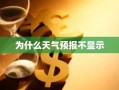 为什么天气预报不显示