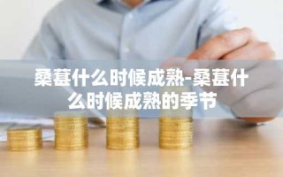 桑葚什么时候成熟-桑葚什么时候成熟的季节