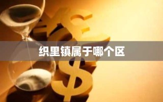 织里镇属于哪个区