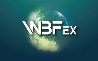 wbf数字资产交易所简介，瓦特交易所基本信息概览