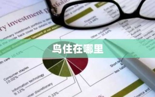 鸟住在哪里