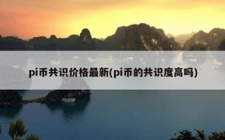 pi币共识价格最新(pi币的共识度高吗)