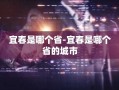 宜春是哪个省-宜春是哪个省的城市