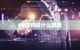 90白鸭绒什么意思