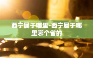 西宁属于哪里-西宁属于哪里哪个省的