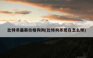 比特币最新价格狗狗(比特狗币现在怎么样)