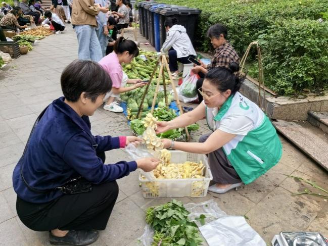 走好巴蜀大山里的乡村振兴路-第2张图片-芙蓉之城