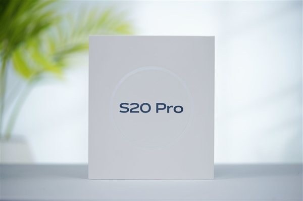 四颗5000万摄像头！vivo S20 Pro图赏-第25张图片-芙蓉之城