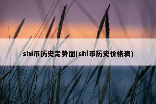 shi币历史走势图(shi币历史价格表)-第1张图片-芙蓉之城