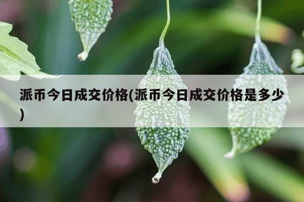 派币今日成交价格(派币今日成交价格是多少)-第1张图片-芙蓉之城