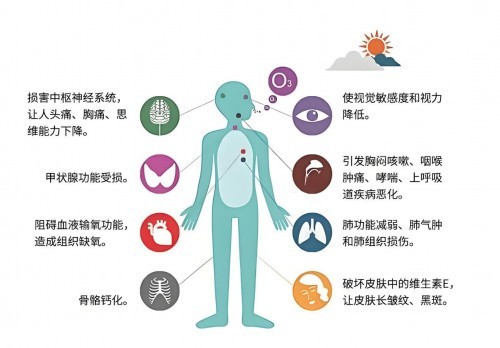 2024年双12空气净化器选购指南，揭秘你不知道的安全隐患！-第3张图片-芙蓉之城