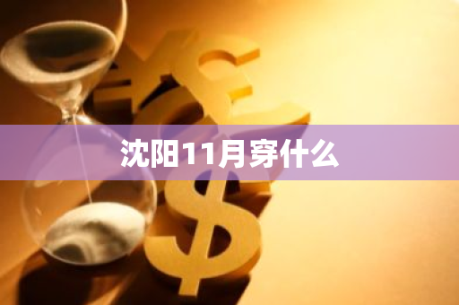 沈阳11月穿什么-第1张图片-芙蓉之城