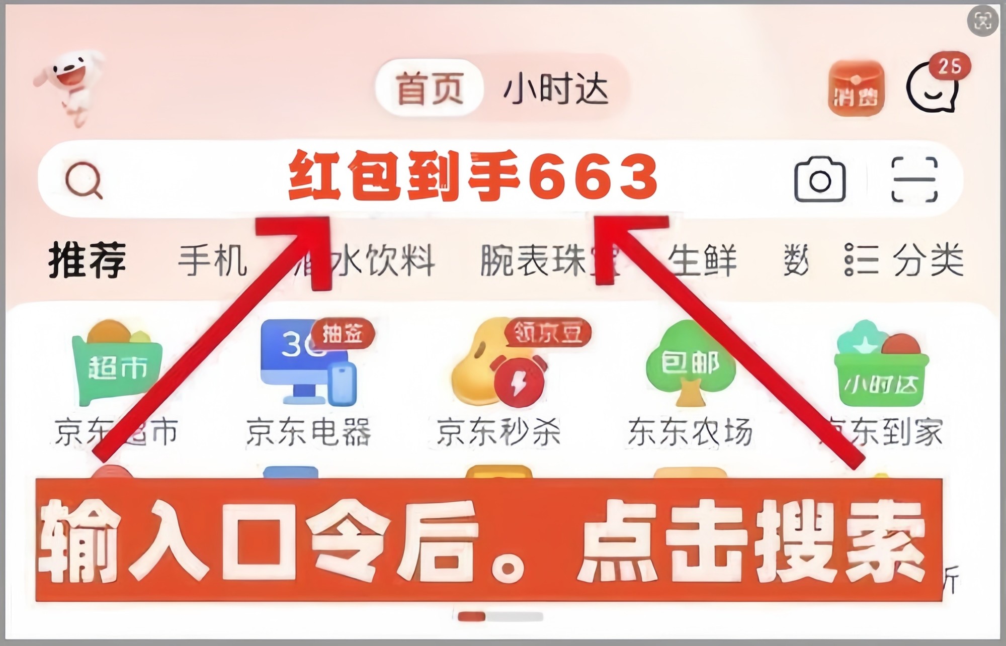 情绪可以抽象，年货不能含糊！京东2025年货节鸣锣开市-第3张图片-芙蓉之城