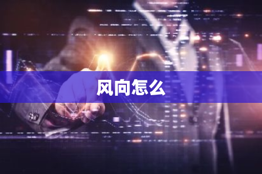 风向怎么-第1张图片-芙蓉之城