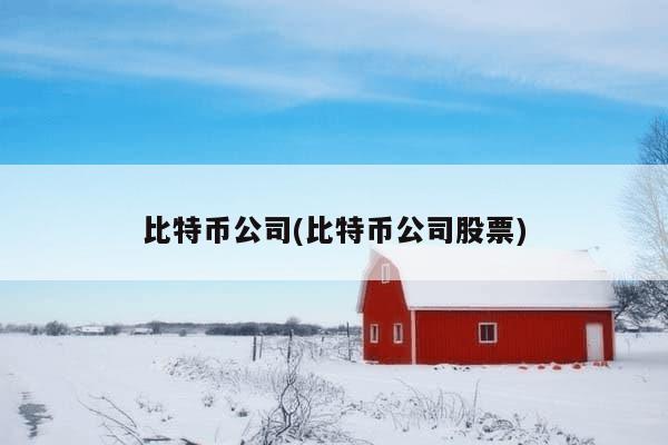 比特币公司(比特币公司股票)-第1张图片-芙蓉之城