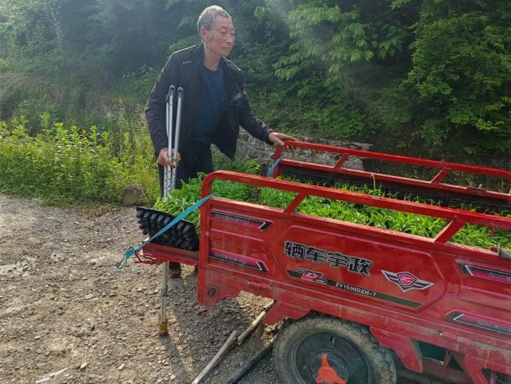 走好巴蜀大山里的乡村振兴路-第3张图片-芙蓉之城