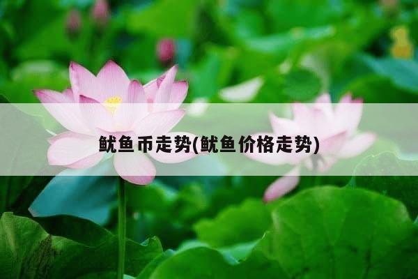 鱿鱼币走势(鱿鱼价格走势)-第1张图片-芙蓉之城