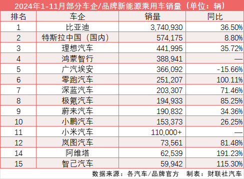 2024年终盘点：比亚迪特斯拉领衔 新能源市场表现超乎预期-第3张图片-芙蓉之城