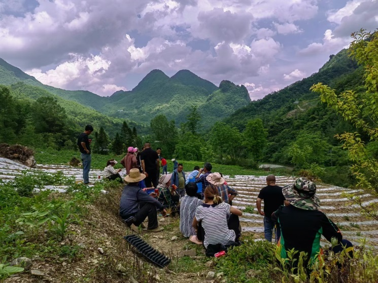 走好巴蜀大山里的乡村振兴路-第1张图片-芙蓉之城