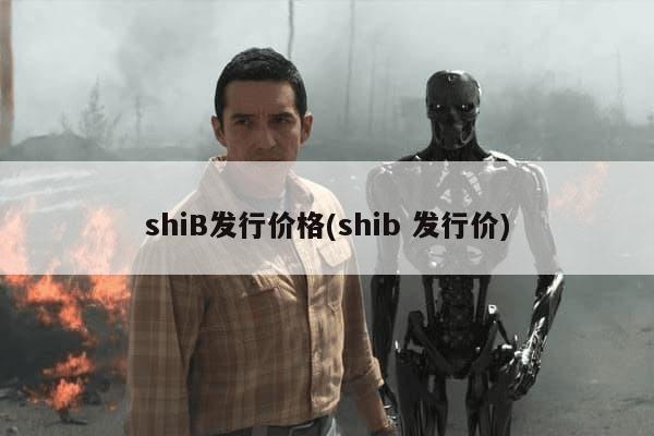 shiB发行价格(shib 发行价)-第1张图片-芙蓉之城