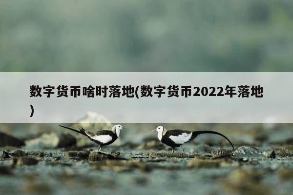 数字货币啥时落地(数字货币2022年落地)-第1张图片-芙蓉之城