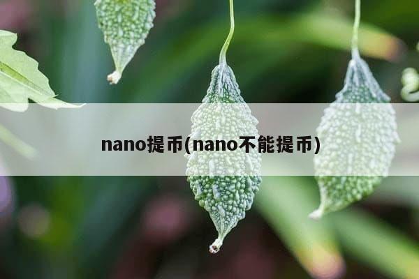 nano提币(nano不能提币)-第1张图片-芙蓉之城