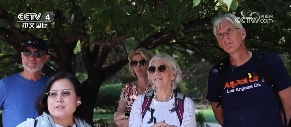 前10月中国服务贸易继续快速增长 旅行服务成为服务贸易第一大领域-第2张图片-芙蓉之城