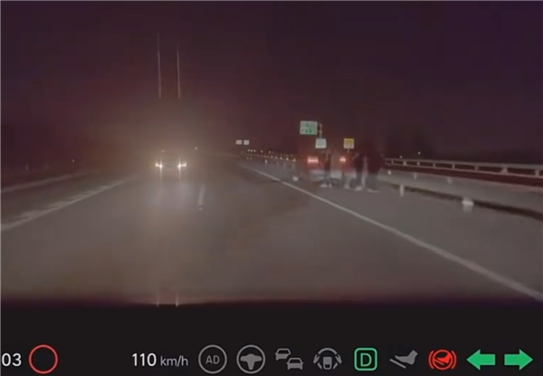 夜间120km/h跑高速突遇逆行车 理想AES紧急变道救下车主一命-第1张图片-芙蓉之城