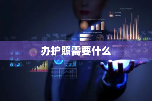 办护照需要什么-第1张图片-芙蓉之城