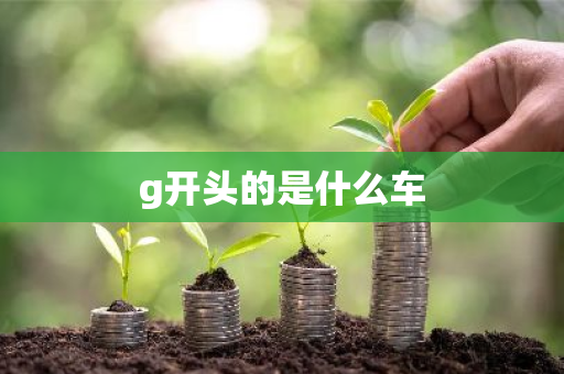 g开头的是什么车-第1张图片-芙蓉之城
