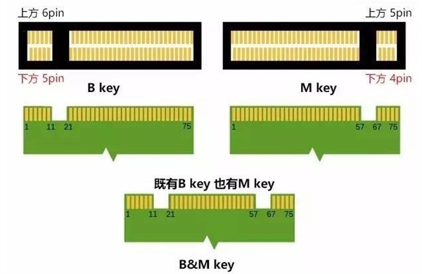 固态硬盘的M.2/PCIe/NVMe有何含义 一文读懂-第1张图片-芙蓉之城