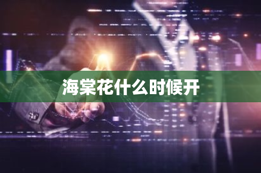 海棠花什么时候开-第1张图片-芙蓉之城