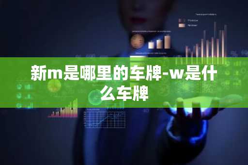 新m是哪里的车牌-w是什么车牌-第1张图片-芙蓉之城