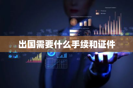 出国需要什么手续和证件-第1张图片-芙蓉之城