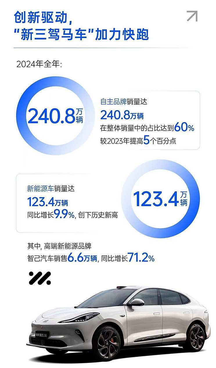 2024年销量快报：中国新能源车销量超1000万辆 哪些车企贡献突出?-第7张图片-芙蓉之城