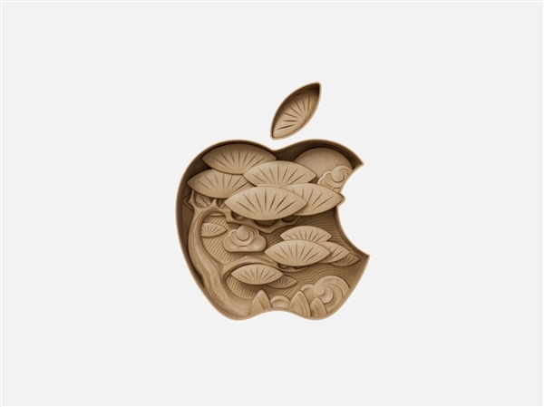 安徽第一家！Apple Store合肥万象城零售店正式开业-第7张图片-芙蓉之城