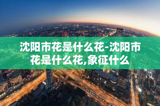 沈阳市花是什么花-沈阳市花是什么花,象征什么-第1张图片-芙蓉之城