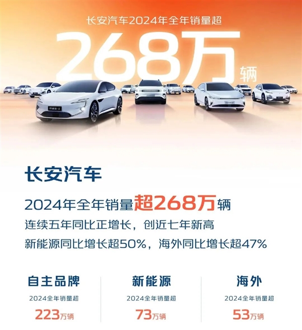 都2025年了：价格战还会继续吗-第14张图片-芙蓉之城