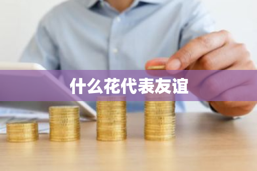 什么花代表友谊-第1张图片-芙蓉之城