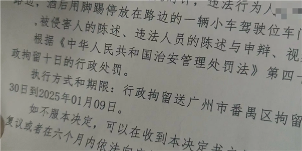 小米SU7停路边被踢了一脚 哨兵模式立功！踢车男子被送进拘留所跨年-第3张图片-芙蓉之城