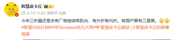 华为Mate XT热销！今年将推出更多三折叠屏手机-第1张图片-芙蓉之城