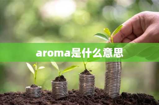 aroma是什么意思-第1张图片-芙蓉之城