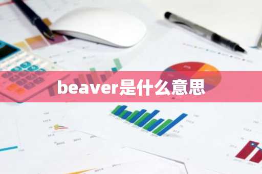 beaver是什么意思-第1张图片-芙蓉之城