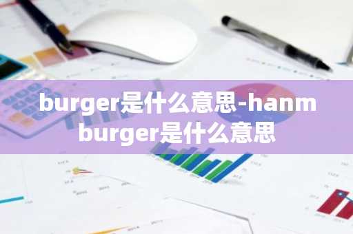 burger是什么意思-hanmburger是什么意思-第1张图片-芙蓉之城