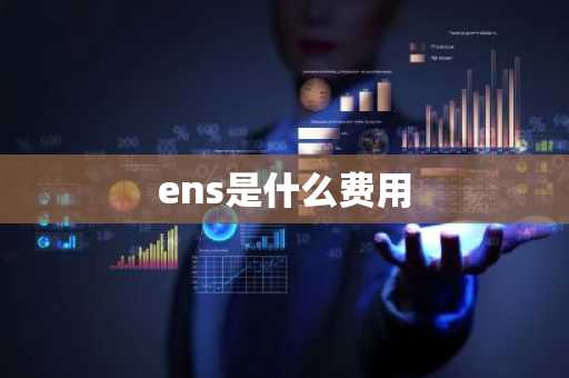 ens是什么费用-第1张图片-芙蓉之城