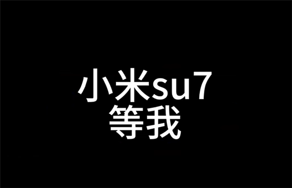 特斯拉车主被小孩质问不买小米不爱国 怒冲小米之家准备买SU7-第5张图片-芙蓉之城