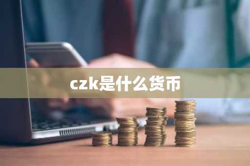 czk是什么货币-第1张图片-芙蓉之城