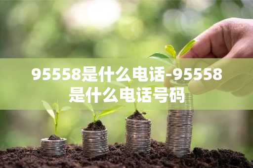 95558是什么电话-95558是什么电话号码-第1张图片-芙蓉之城