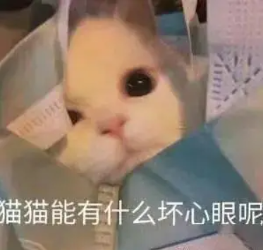 太好了 仅退款基本完蛋了！-第12张图片-芙蓉之城